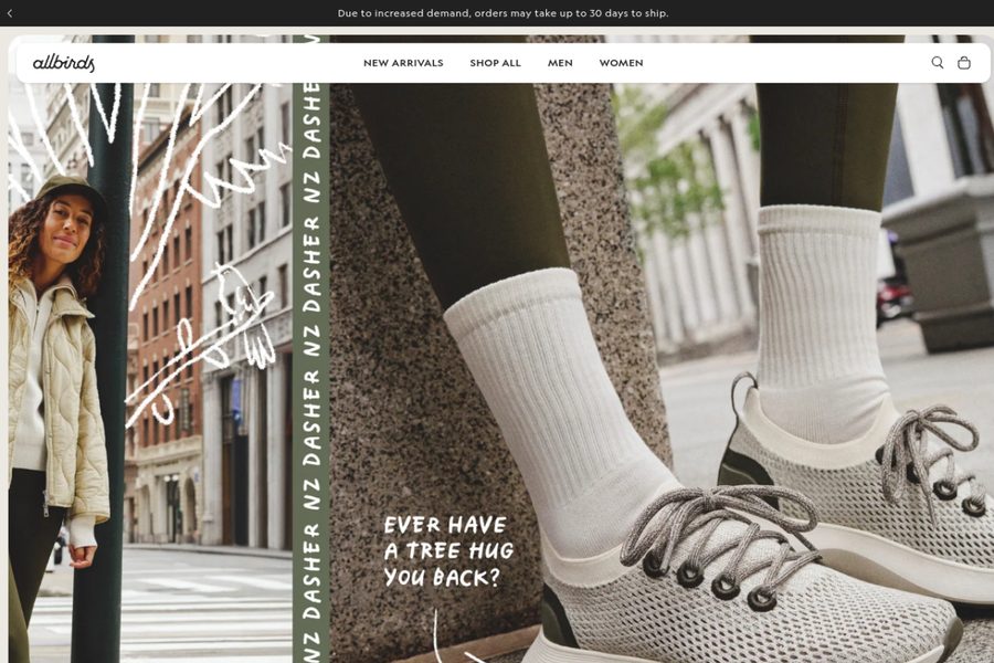 Allbirds website screenshot