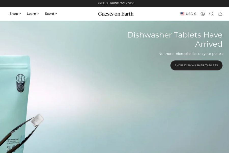 Guests on Earth website screenshot